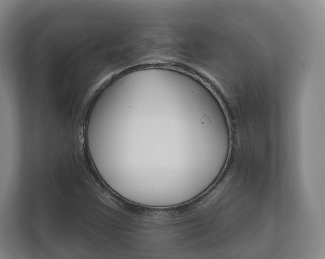 X0000111941355200907271006
