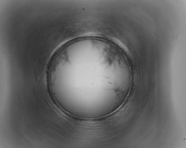 X0000111941356200907271006