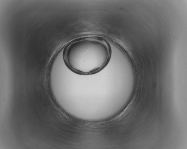 X0000111941357200907271006