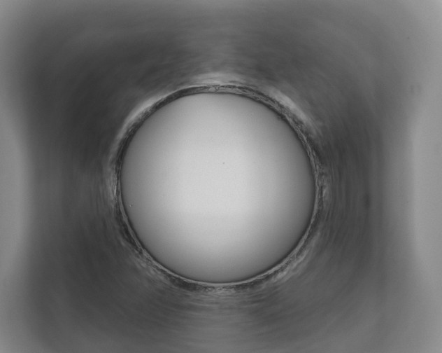 X0000111941358200907271006