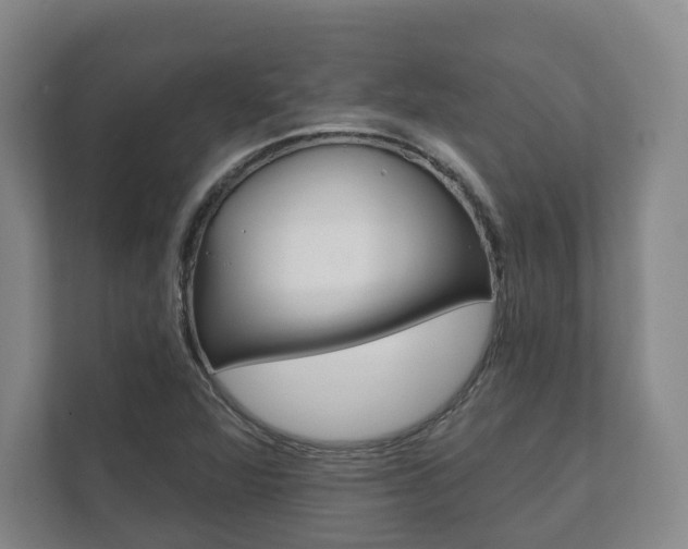 X0000111941360200907271006