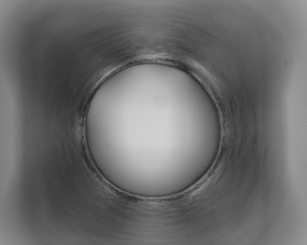 X0000111941361200907271006