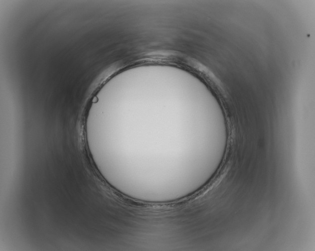 X0000111941362200907271006