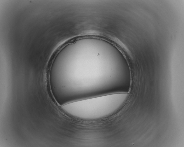 X0000111941364200907271006