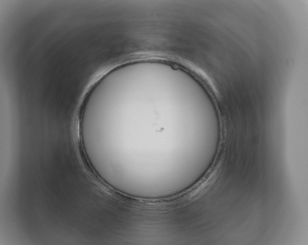 X0000111941365200907271005