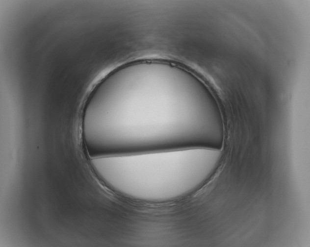 X0000111941367200907271005