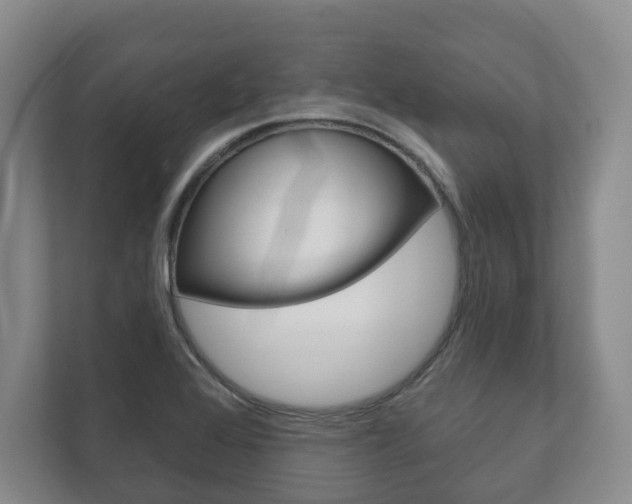 X0000111941368200907271005