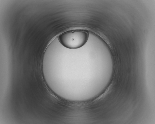 X0000111941369200907271005