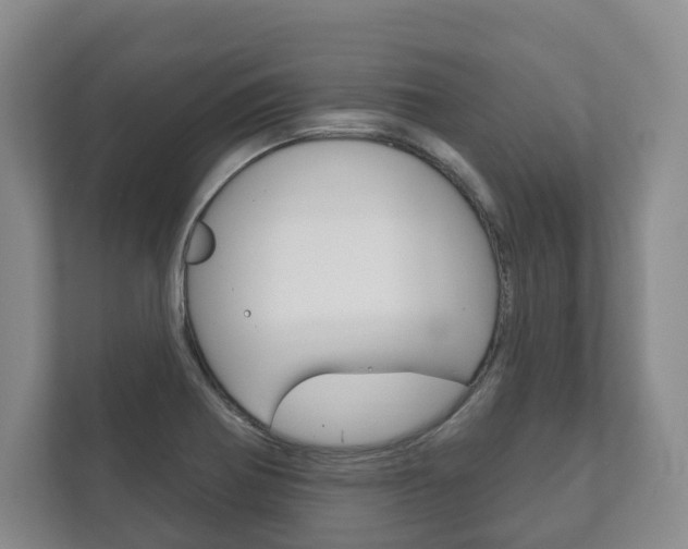 X0000111941370200907271005