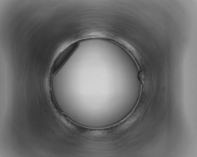 X0000111941373200907271005