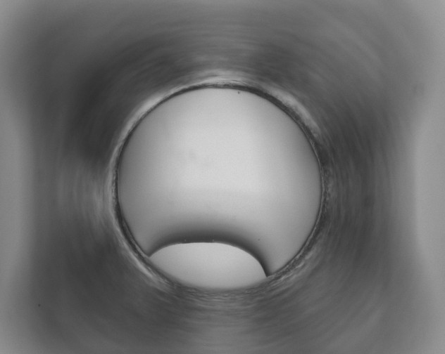 X0000111941375200907271005