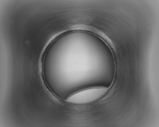 X0000111941376200907271005
