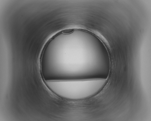 X0000111941380200907271005