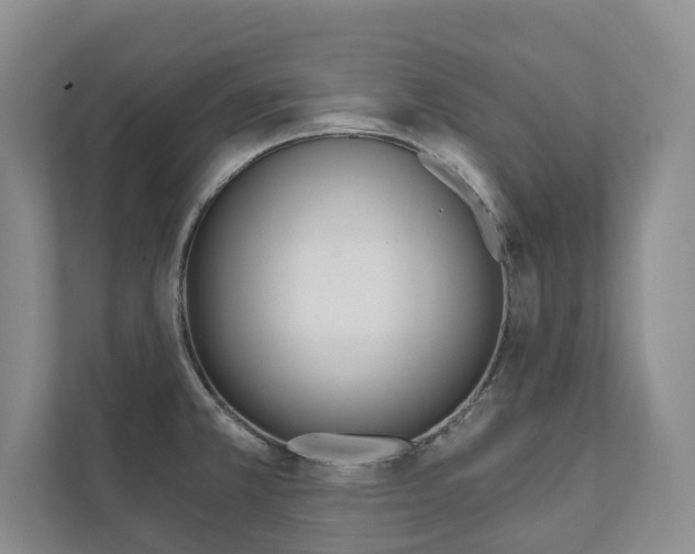 X0000111941381200907271005