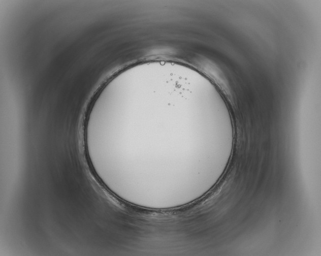 X0000111941384200907271005