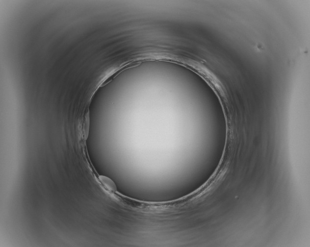 X0000111941385200907271005