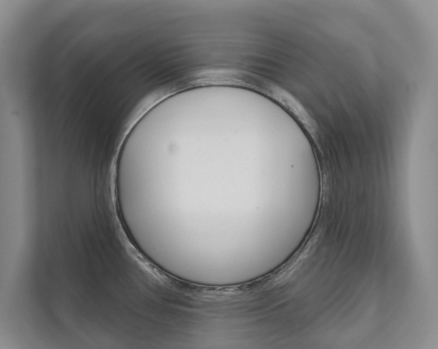 X0000111941386200907271005
