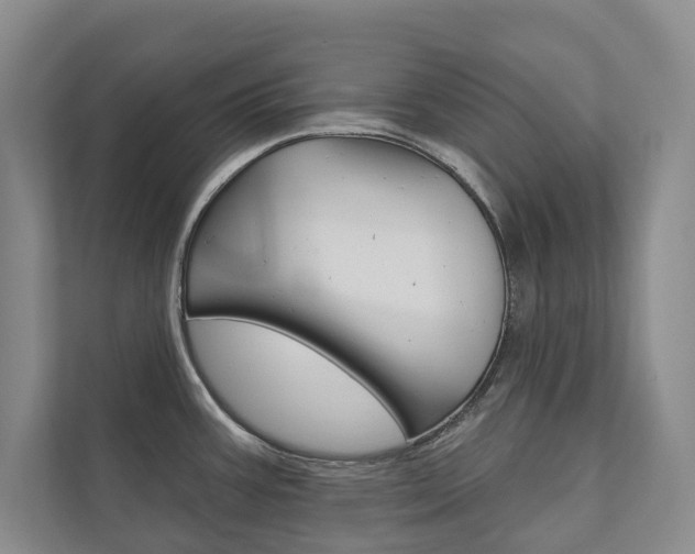 X0000111941387200907271005