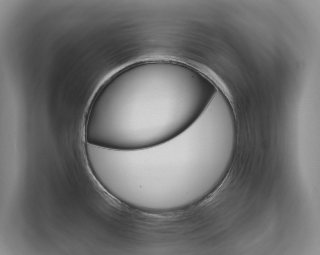 X0000111941388200907271005