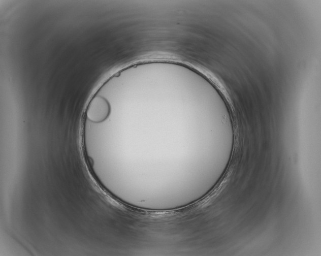 X0000111941390200907271005