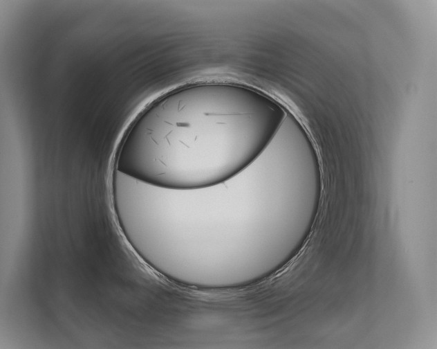 X0000111941392200907271005