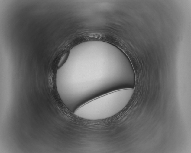 X0000111941394200907271005