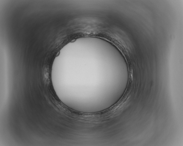 X0000111941396200907271005