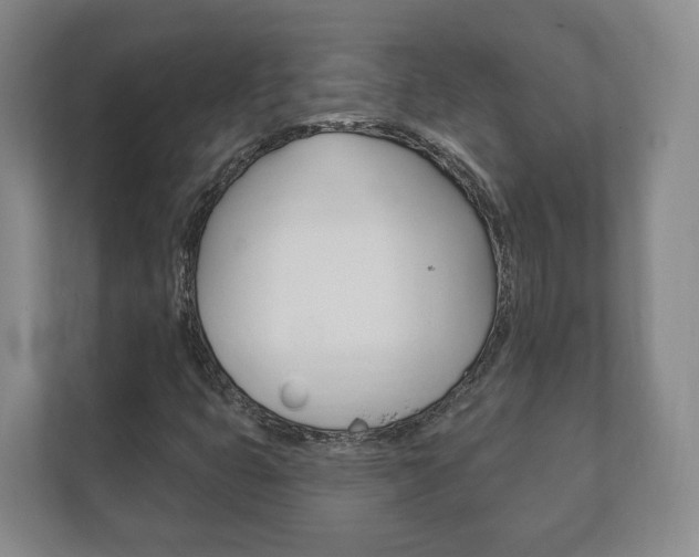 X0000111941399200907271005