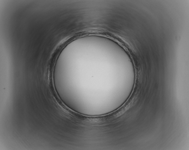 X0000111941402200907271005