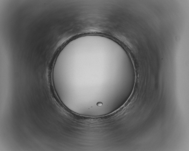 X0000111941404200907271005