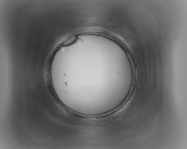 X0000111941405200907271005