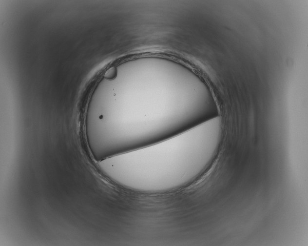 X0000111941406200907271005