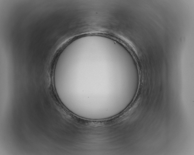 X0000111941407200907271005