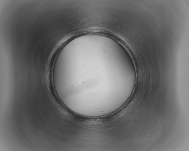 X0000111941410200907271005