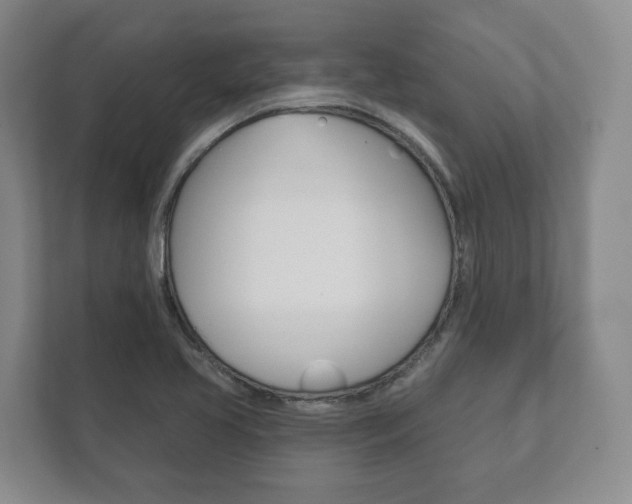 X0000111941413200907271005