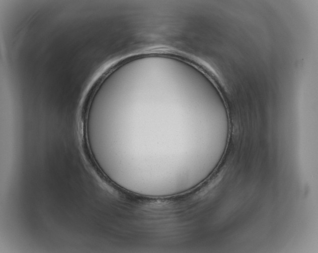 X0000111941414200907271005