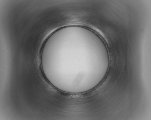 X0000111941415200907271005