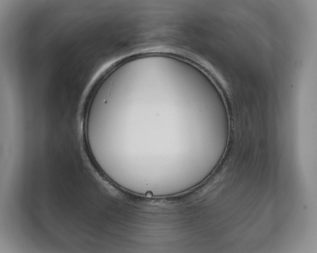 X0000111941416200907271005
