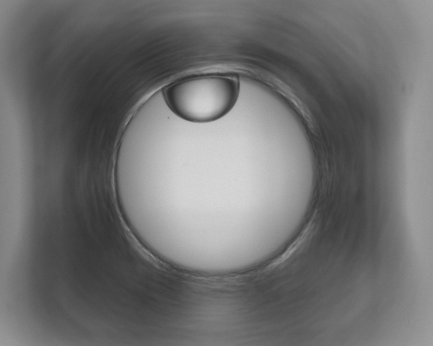 X0000111941417200907271005