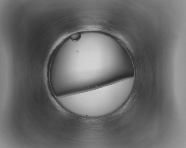 X0000111941422200907271005
