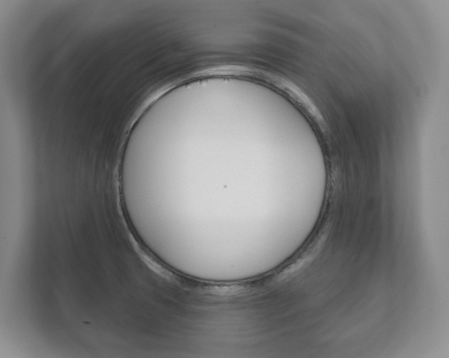 X0000111941425200907271005