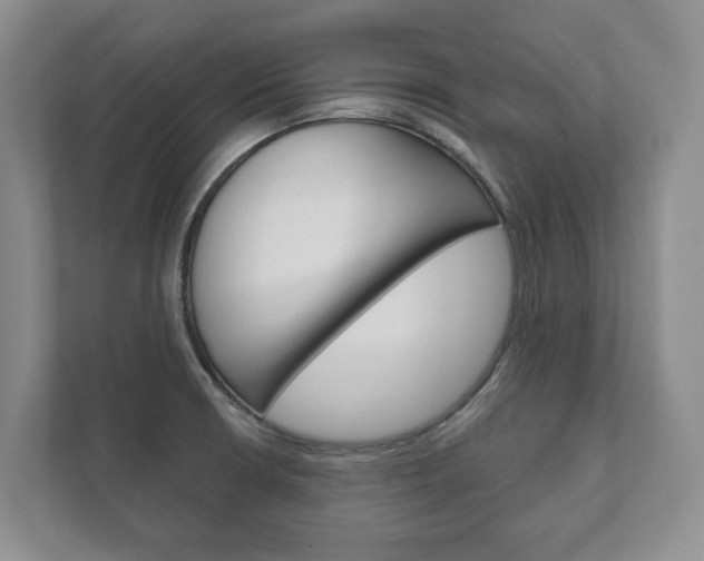 X0000111941426200907271005