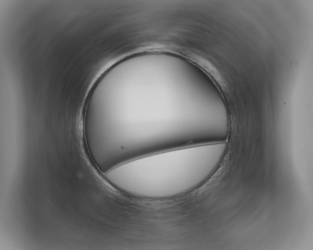 X0000111941428200907271005