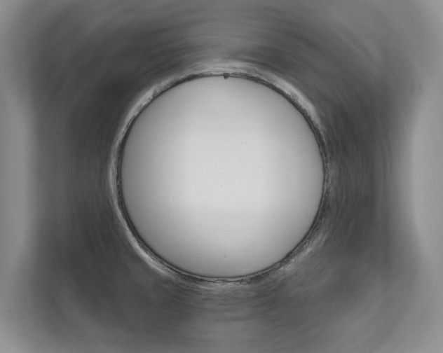 X0000111941429200907271005