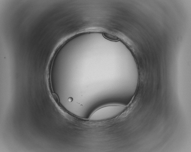 X0000111941430200907271005