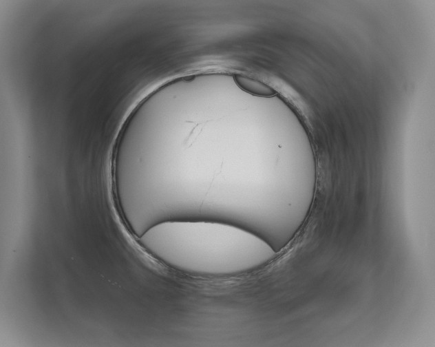 X0000111941431200907271005