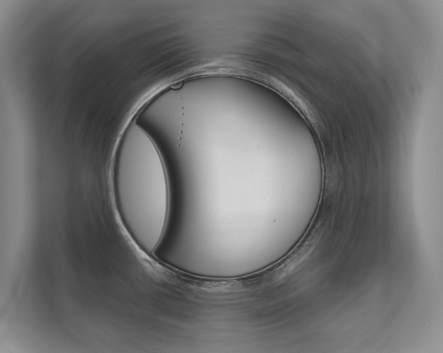 X0000111941434200907271005