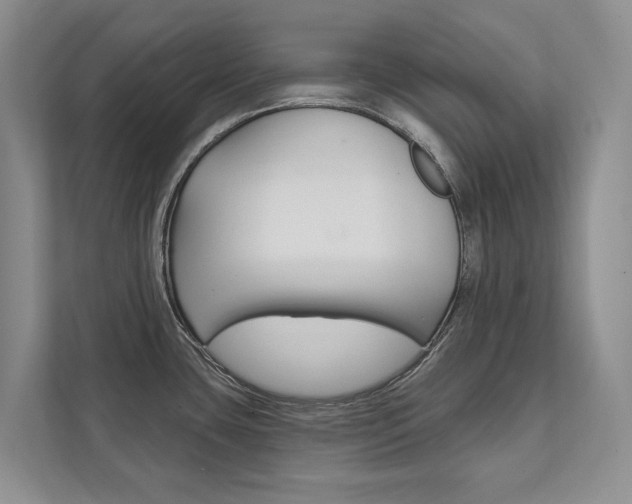 X0000111941435200907271005