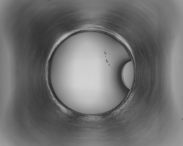 X0000111941437200907271005