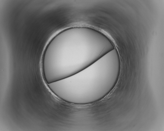X0000111941440200907271005